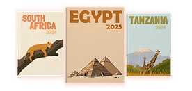 Design and delight collage